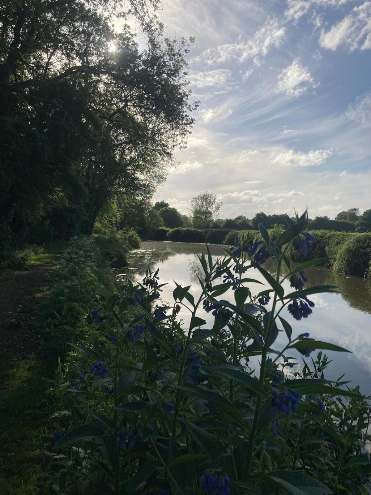 Dutch Cruiser Ship On A Tranquil Secluded River Τόνμπριτζ Εξωτερικό φωτογραφία